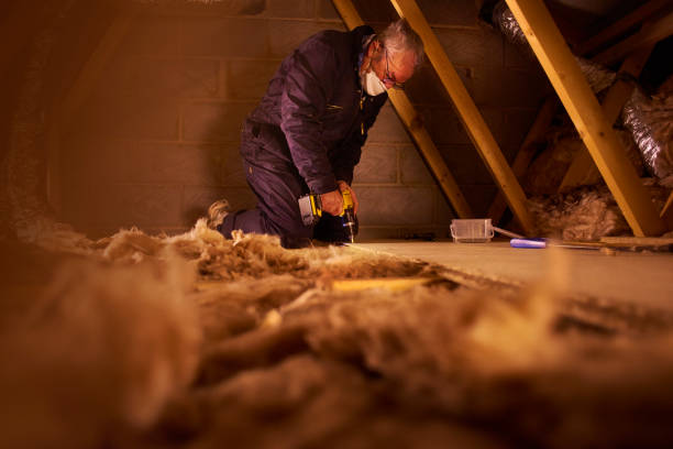 Best Insulation Installation Services in Aberdeen, ID